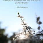 Creativity and spirituality from Michal Levin